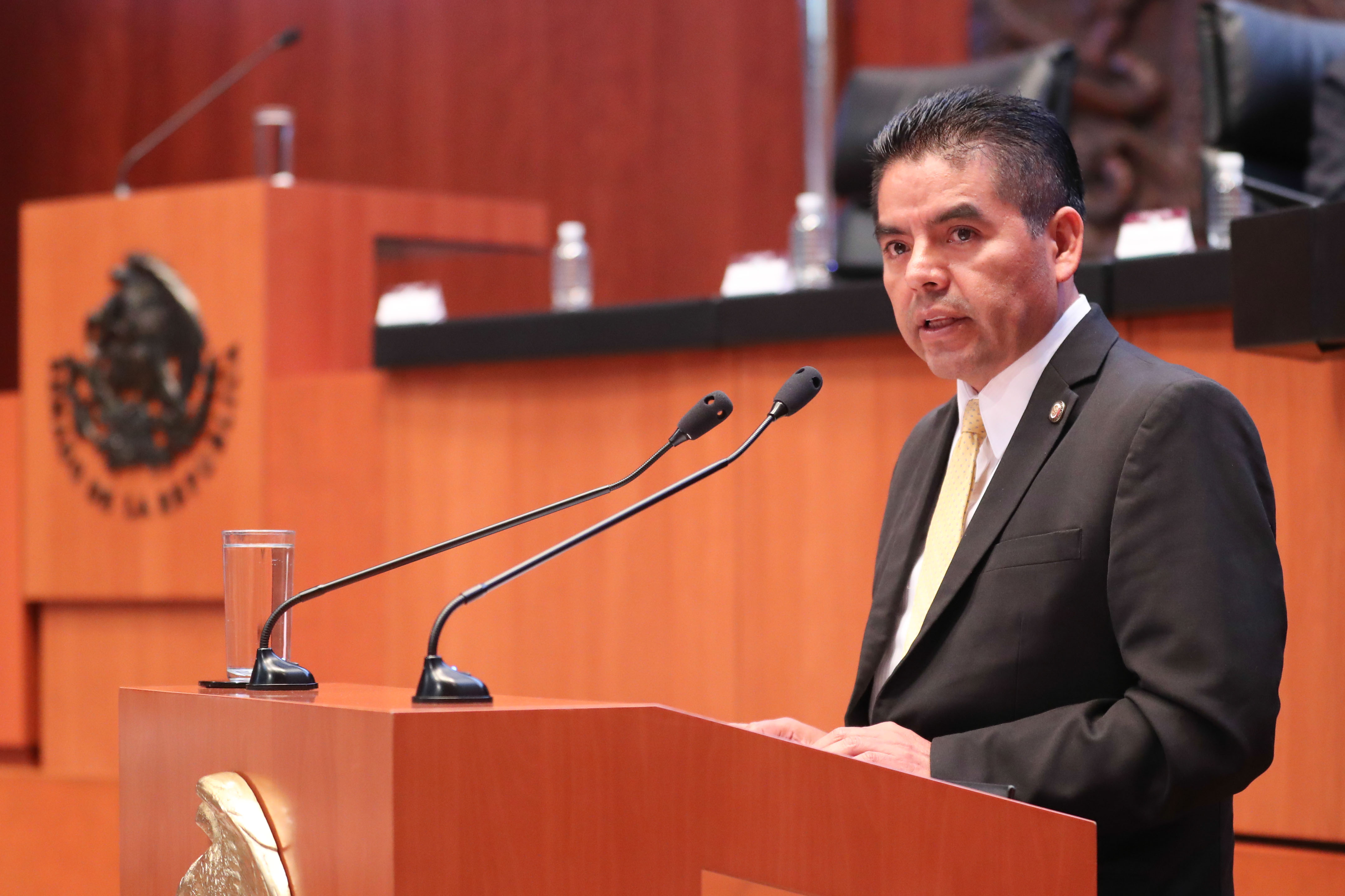 Pretende Senado proteger credibilidad de órganos autónomos