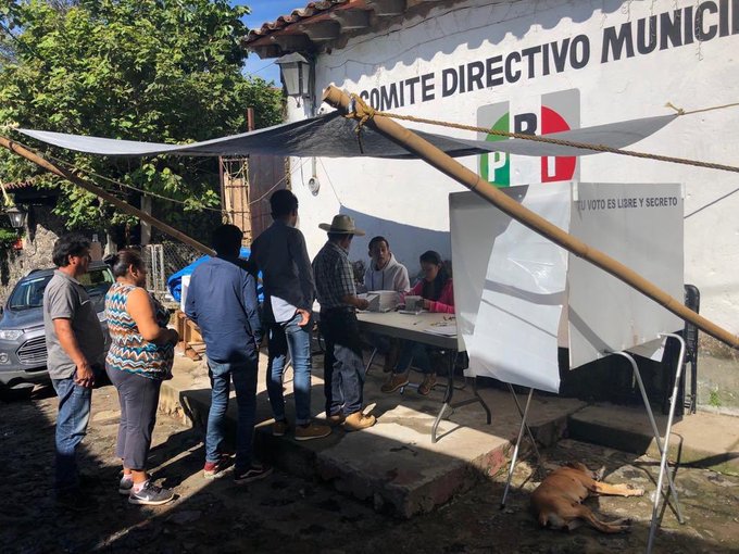 Se llevan a cabo elecciones del PRI